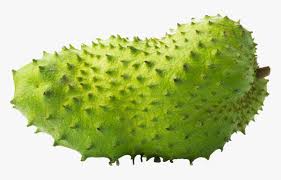   Health  benefits of Soursop &with image 