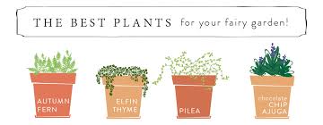 The best fairy garden pot #9: Diy Fairy Gardens At Home A Blog By Joanna Gaines