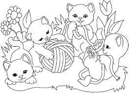 13 realiste coloriage bebe chat photograph chaton mario kart wii personnages