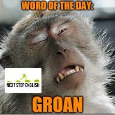 Word Of The Day Groan Nextstepenglish Com Advanced English Vocabulary Hard Vocabulary Words Advanced Vocabulary