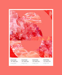 pantone 2019 color of the year is vibrant living coral