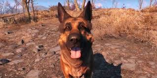 Fallout 4: All Companions, Locations, And Quests | Shacknews