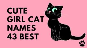 The cat characters are super fun and witty. Cute Girl Cat Names 43 Names You Will Love Names Youtube