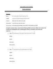 Molecular biology and biology genetics provide the following definition of translation in biology. Transcription And Translation Worksheet Pdf Transcription And Translation Practice Worksheet Example Dna Mrna Codons Aug Cgc Aua Ugg Cug Uaa Course Hero