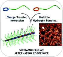 Occurring by turns or in succession a fabric with alternating red and blue stripes … they lacked experience with volcanoes such as st. Tubular Supramolecular Alternating Copolymers Fabricated By Cyclic Peptide Polymer Conjugates Chemical Science Rsc Publishing