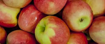 ⌚ öffnungszeiten | adresse | ☎ telefonnummer bei gelbeseiten.de ansehen. Stadt Herne Gesundheit