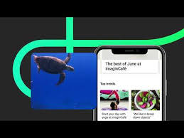 While you will be presented with profiles each day, they appear to be of users that have. Imagin Much More Than An App To Manage Your Money Apps On Google Play