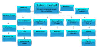 sample home health agency organizational chart www