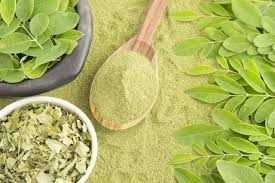 Image result for Moringa