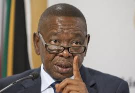 When was blade nzimande born? Matriculants Urged To Make Use Of Sa S 26 Public Universities