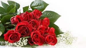 If you're in search of the best red rose wallpaper, you've come to the right place. The Best Top Desktop Roses Wallpapers Hd Rose Wallpaper 46 Bunch Of Red Roses Jpg Desktop Background