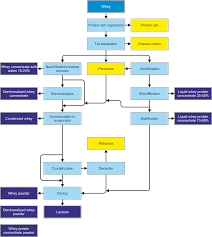 flowchart of whey processing prjsc kalinovskiy machine