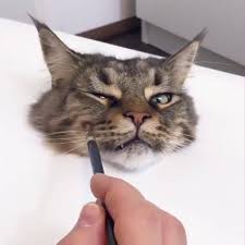 6 lukisan 3d di dinding dan lantai jalanan ini menipu mata, bikin takjub. Awesome Kan Lukisan Kucing 3d Nie Kami Sayang Kucing Facebook