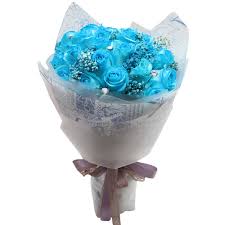 We did not find results for: Online Delivery 18 Light Blue Roses In Bouquet To Philippines
