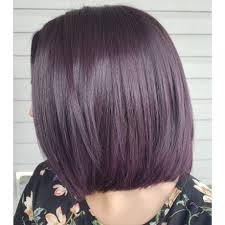 A deep dark violet hair dye says sexy and mysterious. Dark Purple Dark Violet Hair Color With Oxidizing 6 66 Damson Fashion Hair Color Permanent Shopee Philippines