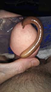 Trans girl does the worm on a dick - explicit urethra exploration