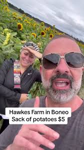 Explore Hawkes Farm: Fresh Produce, Potatoes, and More!