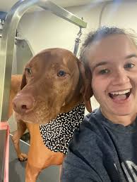 Hello all my furry friends… oh, and their owners! 🤪 My name is Missy and I  have been a professional dog groomer for 5 years. My love for dogs started  way before
