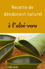 Comment Faire Un Deodorant Naturel A L Aloe Vera Deodorant Naturel Deodorant Recette Deodorant Maison