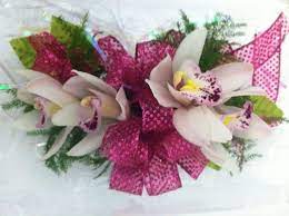 Corsage With Mini Cymbidium Orchids And Hot Pink Cosmic Ribbon By Tillie S Flower Shop Www Tilliesflowers Com Cymbidium Orchids Corsage Prom Flower Shop