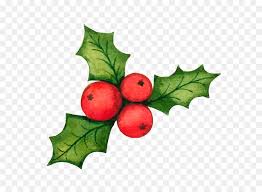 Download the transparent image in png format. Christmas Decoration Cartoon Png Download 2000 2000 Free Transparent Common Holly Png Download Cleanpng Kisspng