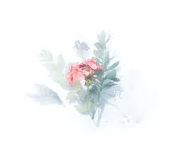 Check spelling or type a new query. Watercolor Flower Pictures Download Free Images On Unsplash