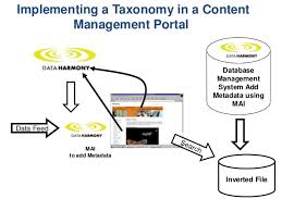 Implementing A Taxonomy In A Content Management Portal