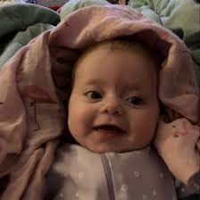 Leila Abboud (labboud150)