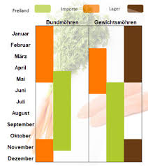 Saison Meine Mohren