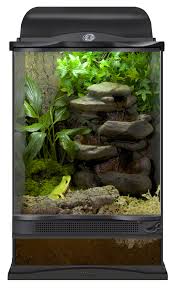 12x12x18 Zoo Med Terrarium Setup For A Tree Frog Diy This Terrarium With A Reptirapids Led Small Rock Waterfall Cork Tree Frog Terrarium Tree Frogs Pet Frogs