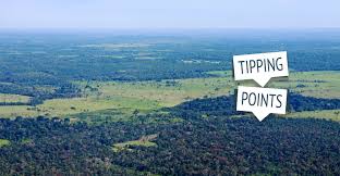 The amazon rainforest is the biggest forest in the world and is also … Guest Post Could Climate Change And Deforestation Spark Amazon Dieback