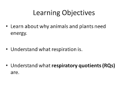 Plants also use oxygen of air for respiration and release carbon dioxide. Respiration Part 1 Learning Objectives Learn About Why Animals And Plants Need Energy Understand What Respiration Is Understand What Respiratory Quotients Ppt Download