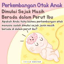 Otak Berkembang Sejak Berada Di Dalam Perut Perkembanganotak Janin Bayi Parenting Aplikasiparenting Aplikasikeham Menjadi Ibu Anak Psikologi Perkembangan