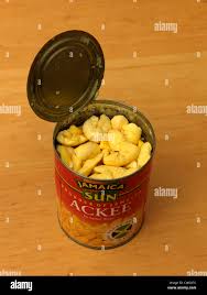 نتیجه جستجوی لغت [ackee] در گوگل
