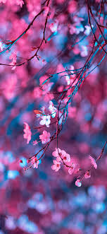 Print custom fabric, wallpaper, home decor items with spoonflower starting at $5. Bk67 Art Flower Red Light Cherry Blossom Spring Wallpaper