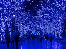 The World S Most Spectacular Holiday Light Displays Best Christmas Lights Blue Christmas Lights Holiday Lights Display
