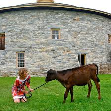 It emerged in the towns of hancock, pittsfield, and richmond in the 1780s, organized in 1790, and was. Hancock Shaker Village Downtown Pittsfield Western Massachusetts The Berkshires