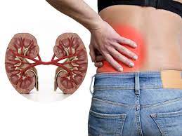 Kidney Damage Symptoms: Foamy Urine And 10 Other Signs You Should Never Ignore | TheHealthSite.com