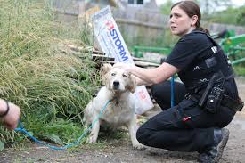 Although no standardized legal definition for puppy mill exists. Humane Society Of Huron Valley Investigator Named Local Hero By Humane Society Of The United States