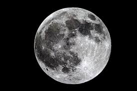 Via donizetti gaetano 22, 73100 luna — s.f. Calendario Lunare Della Semina Per Orto E Giardino Tomappo Blog