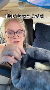 Message questions #pet...