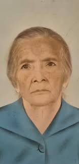 Blog do Roberto Amaral: 2017