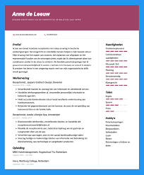 Hobby S En Interesses Op Je Cv Een Handige Handleiding Cvster Nl