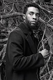 Black Panther Actors And Actresses Pin By Chantiana Staley On Amazing Actors Actress Black Panther Chadwick Boseman Black Arts Movement Black Panther Marvel