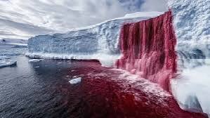 Blood Falls, Antarctica – The Penguin & The Red Glacier | 17th & Surf