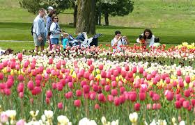 Wizard of oz holland michigan. Wizard Of Oz Coming To Life In West Michigan Park
