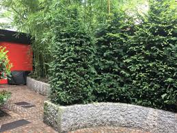 Garten von eden hamburg paradies im garten, garten eden underground, invisble eden garden, exotischer gartenparadies, garden eden bible, and christian eden garden. Gartenbeispiele Scharnweber Garten Und Landschaftsbau