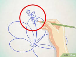 How To Draw A Cartoon Hibiscus Flower 11 Steps With Pictures Start with the spiral center, making the last loop larger for the outside of the rose. how to draw a cartoon hibiscus flower