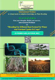 We did not find results for: International Webinar On Breeding For Efficient Root System For Water And Nutrient Uptake In Crops