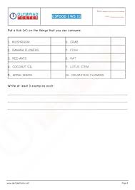 Nso Class 3 Sample Paper On Food Worksheet 10 Exam Preparation Exam Sample Paper